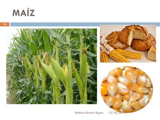 MAÍZ
10

Balbina Álvarez Rguez.

12/10/2013

 