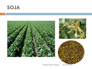 SOJA
7

Balbina Álvarez Rguez.

12/10/2013

 