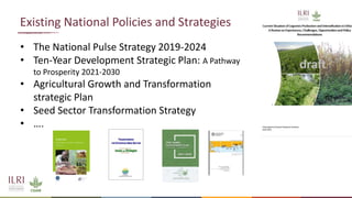 Legume SELECT-Ethiopia: Highlights of desk review on legumes intensification and stakeholders mapping exercises