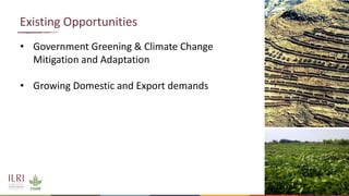 Legume SELECT-Ethiopia: Highlights of desk review on legumes intensification and stakeholders mapping exercises