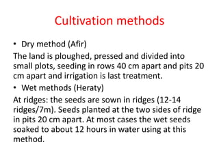Cultivation methods
 