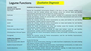 Legume Select–Ethiopia: Review of implemented activities