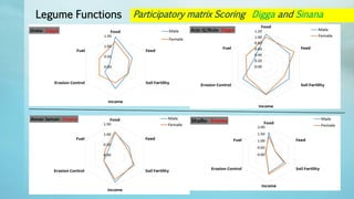 Legume Select–Ethiopia: Review of implemented activities
