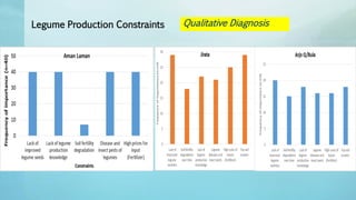 Legume Select–Ethiopia: Review of implemented activities