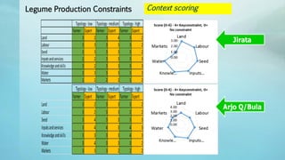 Legume Select–Ethiopia: Review of implemented activities
