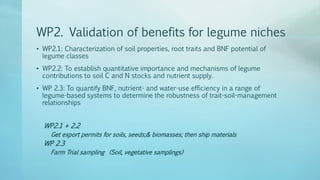 Legume Select–Ethiopia: Review of implemented activities