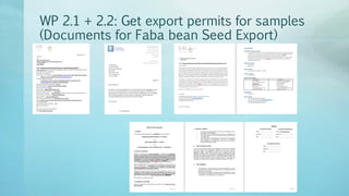 Legume Select–Ethiopia: Review of implemented activities