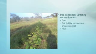 Legume Select–Ethiopia: Review of implemented activities