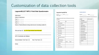 Legume Select–Ethiopia: Review of implemented activities