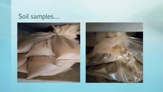 Legume Select–Ethiopia: Review of implemented activities