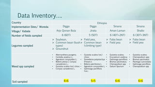 Legume Select–Ethiopia: Review of implemented activities