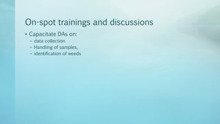 Legume Select–Ethiopia: Review of implemented activities