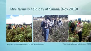 Legume Select–Ethiopia: Review of implemented activities