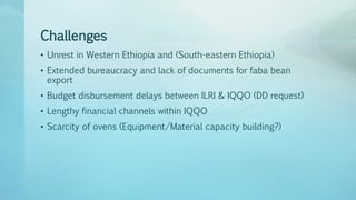 Legume Select–Ethiopia: Review of implemented activities