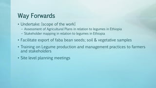 Legume Select–Ethiopia: Review of implemented activities