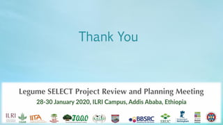Legume Select–Ethiopia: Review of implemented activities