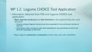 Legume Select–Ethiopia: Review of implemented activities