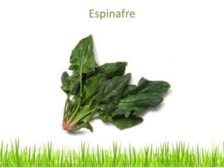 Espinafre
 