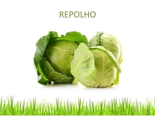 REPOLHO
 