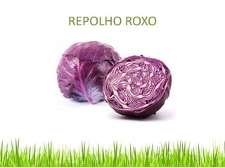 REPOLHO ROXO
 