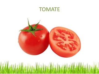 TOMATE
 