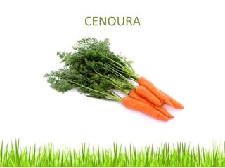 CENOURA
 