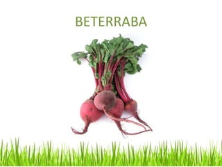BETERRABA
 