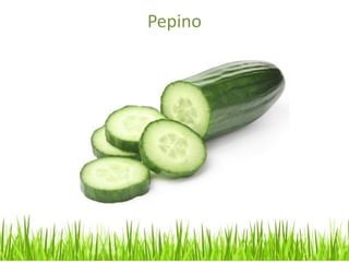 Pepino
 