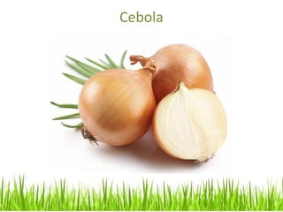 Cebola
 