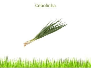 Cebolinha
 