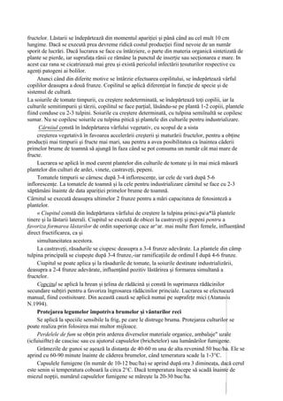 fructelor. Lăstarii se îndepărtează din momentul apariţiei şi până când au cel mult 10 cm
lungime. Dacă se execută prea devreme ridică costul producţiei fiind nevoie de un număr
sporit de lucrări. Dacă lucrarea se face cu întârziere, o parte din materia organică sintetizată de
plante se pierde, iar suprafaţa rănii ce rămâne la punctul de inserţie sau secţionarea e mare. In
acest caz rana se cicatrizează mai greu şi există pericolul infectării ţesuturilor respective cu
agenţi patogeni ai bolilor.
     Atunci când din diferite motive se întârzie efectuarea copilitului, se îndepărtează vârful
copililor deasupra a două frunze. Copilitul se aplică diferenţiat în funcţie de specie şi de
sistemul de cultură.
La soiurile de tomate timpurii, cu creştere nedeterminată, se îndepărtează toţi copilii, iar la
culturile semitimpurii şi târzii, copilitul se face parţial, lăsându-se pe plantă 1-2 copiii, plantele
fiind conduse cu 2-3 tulpini. Soiurile cu creştere determinată, cu tulpina semiînaltă se copilesc
sumar. Nu se copilesc soiurile cu tulpina pitică şi plantele din culturile pentru industrializare.
      Cârniiul constă în îndepărtarea vârfului vegetativ, cu scopul de a sista
     creşterea vegetativă în favoarea accelerării creşterii şi maturării fructelor, pentru a obţine
producţii mai timpurii şi fructe mai mari, sau pentru a avea posibilitatea ca înaintea căderii
primelor brume de toamnă să ajungă în faza când se pot consuma un număr cât mai mare de
fructe.
     Lucrarea se aplică în mod curent plantelor din culturile de tomate şi în mai mică măsură
plantelor din culturi de ardei, vinete, castraveţi, pepeni.
     Tomatele timpurii se cârnesc după 3-4 inflorescenţe, iar cele de vară după 5-6
inflorescenţe. La tomatele de toamnă şi la cele pentru industrializare cârnitul se face cu 2-3
săptămâni înainte de data apariţiei primelor brume de toamnă.
Cârnitul se execută deasupra ultimelor 2 frunze pentru a mări capacitatea de fotosinteză a
plantelor.
     « Ciupitul constă din îndepărtarea vârfului de creştere la tulpina princi-paa*lâ plantele
tinere şi la lăstarii laterali. Ciupitul se execută de obicei la castraveţi şi pepeni pentru a
favoriza formarea lăstarilor de ordin superiorqe cace ar^ar. mai multe flori femele, influenţând
direct fructificarea, ca şi
     simultaneitatea acestora.
     La castraveţi, răsadurile se ciupesc deasupra a 3-4 frunze adevărate. La plantele din câmp
tulpina principală se ciupeşte după 3-4 frunze,-iar ramificaţiile de ordinul I după 4-6 frunze.
     Ciupitul se poate aplica şi la răsadurile de tomate, la soiurile destinate industrializării,
deasupra a 2-4 frunze adevărate, influenţând pozitiv lăstărirea şi formarea simultană a
fructelor.
     Copcitul se aplică la hrean şi ţelina de rădăcină şi constă în suprimarea rădăcinilor
secundare subţiri pentru a favoriza îngrosarea rădăcinilor princiale. Lucrarea se efectuează
manual, fiind costisitoare. Din această cauză se aplică numai pe suprafeţe mici (Atanasiu
N.1994).
     Protejarea legumelor împotriva brumelor şi vânturilor reci
     Se aplică la speciile sensibile la frig, pe care le distruge bruma. Protejarea culturilor se
poate realiza prin folosirea mai multor mijloace.
     Perdelele de fum se obţin prin arderea diverselor materiale organice, ambalaje" uzale
(icfuiuiftte) de cauciuc sau cu ajutorul capsulelor (brichetelor) sau lumânărilor fumigene.
     Grămezile de gunoi se aşează la distanţa de 40-60 m una de alta revenind 50 buc/ha. Ele se
aprind cu 60-90 minute înainte de căderea brumelor, când temeratura scade la 1-3°C.
     Capsulele fumigene (în număr de 10-12 buc/ha) se aprind după ora 3 dimineaţa, dacă cerul
este senin si temperatura coboară la circa 2°C. Dacă temperatura începe să scadă înainte de
miezul nopţii, numărul capsulelor fumigene se măreşte la 20-30 buc/ha.
 