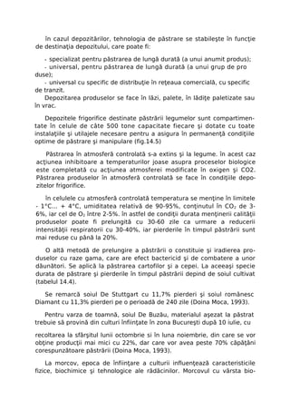 în cazul depozitărilor, tehnologia de păstrare se stabileşte în funcţie
de destinaţia depozitului, care poate fi:

    - specializat pentru păstrarea de lungă durată (a unui anumit produs);
    - universal, pentru păstrarea de lungă durată (a unui grup de pro
duse);
    - universal cu specific de distribuţie în reţeaua comercială, cu specific
de tranzit.
    Depozitarea produselor se face în lăzi, palete, în lădiţe paletizate sau
în vrac.

    Depozitele frigorifice destinate păstrării legumelor sunt compartimen-
tate în celule de câte 500 tone capacitate fiecare şi dotate cu toate
instalaţiile şi utilajele necesare pentru a asigura în permanenţă condiţiile
optime de păstrare şi manipulare (fig.14.5)

    Păstrarea în atmosferă controlată s-a extins şi la legume. în acest caz
acţiunea inhibitoare a temperaturilor joase asupra proceselor biologice
este completată cu acţiunea atmosferei modificate în oxigen şi CO2.
Păstrarea produselor în atmosferă controlată se face în condiţiile depo-
zitelor frigorifice.

    în celulele cu atmosferă controlată temperatura se menţine în limitele
- 1°C... + 4°C, umiditatea relativă de 90-95%, conţinutul în CO 2 de 3-
6%, iar cel de O2 între 2-5%. în astfel de condiţii durata menţinerii calităţii
produselor poate fi prelungită cu 30-60 zile ca urmare a reducerii
intensităţii respiratorii cu 30-40%, iar pierderile în timpul păstrării sunt
mai reduse cu până la 20%.

   O altă metodă de prelungire a păstrării o constituie şi iradierea pro-
duselor cu raze gama, care are efect bactericid şi de combatere a unor
dăunători. Se aplică la păstrarea cartofilor şi a cepei. La aceeaşi specie
durata de păstrare şi pierderile în timpul păstrării depind de soiul cultivat
(tabelul 14.4).

   Se remarcă soiul De Stuttgart cu 11,7% pierderi şi soiul românesc
Diamant cu 11,3% pierderi pe o perioadă de 240 zile (Doina Moca, 1993).

   Pentru varza de toamnă, soiul De Buzău, materialul aşezat la păstrat
trebuie să provină din culturi înfiinţate în zona Bucureşti după 10 iulie, cu

recoltarea la sfârşitul lunii octombrie si în luna noiembrie, din care se vor
obţine producţii mai mici cu 22%, dar care vor avea peste 70% căpăţâni
corespunzătoare păstrării (Doina Moca, 1993).

    La morcov, epoca de înfiinţare a culturii influenţează caracteristicile
fizice, biochimice şi tehnologice ale rădăcinilor. Morcovul cu vârsta bio-
 