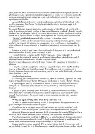 sporit de lucrări. Dacă lucrarea se face cu întârziere, o parte din materia organică sintetizată de
plante se pierde, iar suprafaţa rănii ce rămâne la punctul de inserţie sau secţionarea e mare. In
acest caz rana se cicatrizează mai greu şi există pericolul infectării ţesuturilor respective cu
agenţi patogeni ai bolilor.
     Atunci când din diferite motive se întârzie efectuarea copilitului, se îndepărtează vârful
copililor deasupra a două frunze. Copilitul se aplică diferenţiat în funcţie de specie şi de
sistemul de cultură.
La soiurile de tomate timpurii, cu creştere nedeterminată, se îndepărtează toţi copilii, iar la
culturile semitimpurii şi târzii, copilitul se face parţial, lăsându-se pe plantă 1-2 copiii, plantele
fiind conduse cu 2-3 tulpini. Soiurile cu creştere determinată, cu tulpina semiînaltă se copilesc
sumar. Nu se copilesc soiurile cu tulpina pitică şi plantele din culturile pentru industrializare.
      Cârniiul constă în îndepărtarea vârfului vegetativ, cu scopul de a sista
     creşterea vegetativă în favoarea accelerării creşterii şi maturării fructelor, pentru a obţine
producţii mai timpurii şi fructe mai mari, sau pentru a avea posibilitatea ca înaintea căderii
primelor brume de toamnă să ajungă în faza când se pot consuma un număr cât mai mare de
fructe.
     Lucrarea se aplică în mod curent plantelor din culturile de tomate şi în mai mică măsură
plantelor din culturi de ardei, vinete, castraveţi, pepeni.
     Tomatele timpurii se cârnesc după 3-4 inflorescenţe, iar cele de vară după 5-6
inflorescenţe. La tomatele de toamnă şi la cele pentru industrializare cârnitul se face cu 2-3
săptămâni înainte de data apariţiei primelor brume de toamnă.
Cârnitul se execută deasupra ultimelor 2 frunze pentru a mări capacitatea de fotosinteză a
plantelor.
     « Ciupitul constă din îndepărtarea vârfului de creştere la tulpina princi-paa*lâ plantele
tinere şi la lăstarii laterali. Ciupitul se execută de obicei la castraveţi şi pepeni pentru a
favoriza formarea lăstarilor de ordin superiorqe cace ar^ar. mai multe flori femele, influenţând
direct fructificarea, ca şi
     simultaneitatea acestora.
     La castraveţi, răsadurile se ciupesc deasupra a 3-4 frunze adevărate. La plantele din câmp
tulpina principală se ciupeşte după 3-4 frunze,-iar ramificaţiile de ordinul I după 4-6 frunze.
     Ciupitul se poate aplica şi la răsadurile de tomate, la soiurile destinate industrializării,
deasupra a 2-4 frunze adevărate, influenţând pozitiv lăstărirea şi formarea simultană a
fructelor.
     Copcitul se aplică la hrean şi ţelina de rădăcină şi constă în suprimarea rădăcinilor
secundare subţiri pentru a favoriza îngrosarea rădăcinilor princiale. Lucrarea se efectuează
manual, fiind costisitoare. Din această cauză se aplică numai pe suprafeţe mici (Atanasiu
N.1994).
     Protejarea legumelor împotriva brumelor şi vânturilor reci
     Se aplică la speciile sensibile la frig, pe care le distruge bruma. Protejarea culturilor se
poate realiza prin folosirea mai multor mijloace.
     Perdelele de fum se obţin prin arderea diverselor materiale organice, ambalaje" uzale
(icfuiuiftte) de cauciuc sau cu ajutorul capsulelor (brichetelor) sau lumânărilor fumigene.
     Grămezile de gunoi se aşează la distanţa de 40-60 m una de alta revenind 50 buc/ha. Ele se
aprind cu 60-90 minute înainte de căderea brumelor, când temeratura scade la 1-3°C.
     Capsulele fumigene (în număr de 10-12 buc/ha) se aprind după ora 3 dimineaţa, dacă cerul
este senin si temperatura coboară la circa 2°C. Dacă temperatura începe să scadă înainte de
miezul nopţii, numărul capsulelor fumigene se măreşte la 20-30 buc/ha.
     în cazul când temperatura scade sub -2°C se mai aprinde un rând de brichete, care sunt
aşezate în linie dreaptă, din 10 în 10 m în marginea parcelei din partea dinspre care bate vântul.
 