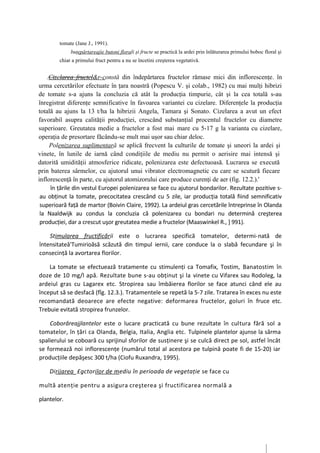 tomate (Jane J., 1991).
             buţepărtareajie butoni florali şi fructe se practică la ardei prin înlăturarea primului boboc floral şi
        chiar a primului fruct pentru a nu se încetini creşterea vegetativă.


    .Cizelarea fructcl&r-constă din îndepărtarea fructelor rămase mici din inflorescenţe. în
urma cercetărilor efectuate în ţara noastră (Popescu V. şi colab., 1982) cu mai mulţi hibrizi
de tomate s-a ajuns la concluzia că atât la producţia timpurie, cât şi la cea totală s-au
înregistrat diferenţe semnificative în favoarea variantei cu cizelare. Diferenţele la producţia
totală au ajuns la 13 t/ha la hibrizii Angela, Tamara şi Sonato. Cizelarea a avut un efect
favorabil asupra calităţii producţiei, crescând substanţial procentul fructelor cu diametre
superioare. Greutatea medie a fructelor a fost mai mare cu 5-17 g la varianta cu cizelare,
operaţia de presortare făcându-se mult mai uşor sau chiar deloc.
     Polenizarea suplimentară se aplică frecvent la culturile de tomate şi uneori la ardei şi
vinete, în lunile de iarnă când condiţiile de mediu nu permit o aerisire mai intensă şi
datorită umidităţii atmosferice ridicate, polenizarea este defectuoasă. Lucrarea se execută
prin baterea sârmelor, cu ajutorul unui vibrator electromagnetic cu care se scutură fiecare
inflorescenţă în parte, cu ajutorul atomizorului care produce curenţi de aer (fig. 12.2.).'
     în ţările din vestul Europei polenizarea se face cu ajutorul bondarilor. Rezultate pozitive s-
 au obţinut la tomate, precocitatea crescând cu 5 zile, iar producţia totală fiind semnificativ
 superioară faţă de martor (Boivin Claire, 1992). La ardeiul gras cercetările întreprinse în Olanda
 la Naaldwijk au condus la concluzia că polenizarea cu bondari nu determină creşterea
 producţiei, dar a crescut uşor greutatea medie a fructelor (Maaswinkel R., ] 991).

    Stimularea fructificării este o lucrarea specifică tomatelor, determi-nată de
întensitateâ'Tumirioăsă scăzută din timpul iernii, care conduce la o slabă fecundare şi în
consecinţă la avortarea florilor.

    La tomate se efectuează tratamente cu stimulenţi ca Tomafix, Tostim, Banatostim în
doze de 10 mg/l apă. Rezultate bune s-au obţinut şi la vinete cu Vifarex sau Rodoleg, la
ardeiul gras cu Lagarex etc. Stropirea sau îmbăierea florilor se face atunci când ele au
început să se desfacă (fîg. 12.3.). Tratamentele se repetă la 5-7 zile. Tratarea în exces nu este
recomandată deoarece are efecte negative: deformarea fructelor, goluri în fruce etc.
Trebuie evitată stropirea frunzelor.

    Coborâreajjlantelor este o lucare practicată cu bune rezultate în cultura fără sol a
tomatelor, în ţări ca Olanda, Belgia, Italia, Anglia etc. Tulpinele plantelor ajunse la sârma
spalierului se coboară cu sprijinul sforilor de susţinere şi se culcă direct pe sol, astfel încât
se formează noi inflorescenţe (numărul total al acestora pe tulpină poate fi de 15-20) iar
producţiile depăşesc 300 t/ha (Ciofu Ruxandra, 1995).

    Dirijarea _£gctorilor de m ediu în perioada de vegetaţie se face cu

multă atenţie pentru a asigura creşterea şi fructificarea normală a

plantelor.
 