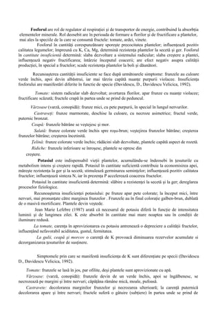 Fosforul are rol de regulator al respiraţiei şi de transportor de energie, contribuind la absorbţia
 elementelor minerale. Rol deosebit are în perioada de formare a florilor şi de fructificare a plantelor,
 mai ales la speciile de la care se consumă fructele: tomate, ardei, vinete.
            Fosforul în cantităţi corespunzătoare sporeşte precocitatea plantelor; influenţează pozitiv
calitatea legumelor; împreună cu K, Ca, Mg, determină rezistenţa plantelor la secetă şi ger. Fosforul
în cantitate insuficientă determină: slaba dezvoltare a sistemului radicular; slaba creştere a plantei,
influenţează negativ fructificarea; întârzie începutul coacerii; are efect negativ asupra calităţii
producţiei, în special a fructelor; scade rezistenţa plantelor la boli şi dăunători.
        Recunoaşterea cantităţii insuficiente se face după următoarele simptome: frunzele au culoare
verde închis, apoi devin albăstrui, iar mai târziu capătă nuanţe purpurii violacee. Insuficienţa
fosforului are manifestări diferite în functie de specie (Davidescu, D., Davidescu Velicica, 1992).
          Tomate: sistem radicular slab dezvoltat; avortarea florilor, apar frunze cu nuanţe violacee;
fructificare scăzută; fructele crapă în partea unde se prind de peduncul.
        Vărzoase (varză, conopidă): frunze mici, cu pete purpurii, în special în lungul nervurilor.
          Castraveţi: frunze marmorate, deschise la culoare, cu necroze asimetrice; fructul verde,
puternic bronzat.
        Ceapă: frunzele bătrâne se veştejesc şi mor.
          Salată: frunze colorate verde închis spre roşu-brun; veştejirea frunzelor bătrâne; creşterea
frunzelor bătrâne; creşterea încetinită.
        Ţelină: frunze colorate verde închis; rădăcini slab dezvoltate, plantele capătă aspect de rozetă.
        Ridiche: frunzele inferioare se înroşesc, plantele se opresc din
     creştere.
            Potasiul este indispensabil vieţii plantelor, acumulându-se îndeosebi în ţesuturile cu
metabolism intens şi creştere rapidă. Potasiul în cantitate suficientă contribuie la economisirea apei,
măreşte rezistenţa la ger şi la secetă; stimulează germinarea seminţelor; influenţează pozitiv calitatea
fructelor; influenţează sinteza N, iar în prezenţa P accelerează coacerea fructelor.
         Potasiul în cantitate insuficientă determină: slăbire a rezistenţei la secetă şi la ger; dereglarea
proceselor fiziologice.
          Recunoaşterea insuficienţei potasiului: pe frunze apar pete colorate; la început mici, între
nervuri, mai pronunţate către marginea frunzelor . Frunzele au în final coloraţie galben-brun, dublată
de o masivă mortificare. Plantele devin veştede.
          Jean Marie Lefebre (1987) arată că necesarul de potasiu diferă în funcţie de intensitatea
luminii şi de lungimea zilei. K este absorbit în cantitate mai mare noaptea sau în condiţii de
iluminare redusă.
          La tomate, carenţa în aprovizionarea cu potasiu antrenează o depreciere a calităţii fructelor,
influenţând nefavorabil aciditatea, gustul, fermitatea.
           La gulii, ceapă şi morcov o carenţă de K provoacă diminuarea rezervelor acumulate si
dezorganizarea ţesuturilor de susţinere.


          Simptomele prin care se manifestă insuficienţa de K sunt diferenţiate pe specii (Davidescu
D., Davidescu Velicica, 1992).
    Tomate: frunzele se lasă în jos, par ofilite, deşi plantele sunt aprovizionate cu apă.
    Vărzoase: (varză, conopidă): frunzele devin de un verde închis, apoi se îngălbenesc, se
necrozează pe margini şi între nervuri; căpăţâna rămâne mică, moale, pufoasă.
    Castravete: decolorarea marginilor frunzelor şi necrozarea ulterioară; la carenţă puternică
decolorarea apare şi între nervuri; fructele suferă o gâtuire (subţiere) în partea unde se prind de
 