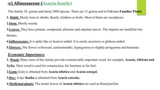 (c) Alimosaceae (Acacia family)
This family 56. genera and about 2800 species. There are 11 genera and in Pakistan Familiar Plants
1. Habit: Mosly trees or shrubs. Rarely climbers or herbs. Most of them are xecophytes.
2.Stem: Mostly woody
3.Leaves: They have pinnate, compound, alternate and stipulate leaves. The stipules are modified into
thrones.
4.Inflorescence: It is spike like or head or umbel. It is rarely racemose or globose umbel.
5.Flowers: The flower is bisexual, actinomorphic, hypogynous to slightly perigynous and bracteate.
Economic Importance
1. Wood: Many trees of this family provide commercially important wood, for example, Acacia, Albizzia and
Xylia. Their wood is used for construction, for furniture or for fuel.
2.Gum: Gum is obtained from Acacia nilotica and Acacia senegal.
3.Dye: A dye Katha is obtained from Acacia catechu.
4.Medicinal plants: The tender leaves of Acacia nilotica are used as blood purifier.
 