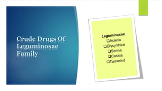 Crude Drugs Of
Leguminosae
Family
 