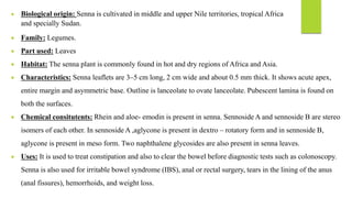  Biological origin: Senna is cultivated in middle and upper Nile territories, tropical Africa
and specially Sudan.
 Family: Legumes.
 Part used: Leaves
 Habitat: The senna plant is commonly found in hot and dry regions of Africa and Asia.
 Characteristics: Senna leaflets are 3–5 cm long, 2 cm wide and about 0.5 mm thick. It shows acute apex,
entire margin and asymmetric base. Outline is lanceolate to ovate lanceolate. Pubescent lamina is found on
both the surfaces.
 Chemical consitutents: Rhein and aloe- emodin is present in senna. Sennoside A and sennoside B are stereo
isomers of each other. In sennoside A ,aglycone is present in dextro – rotatory form and in sennoside B,
aglycone is present in meso form. Two naphthalene glycosides are also present in senna leaves.
 Uses: It is used to treat constipation and also to clear the bowel before diagnostic tests such as colonoscopy.
Senna is also used for irritable bowel syndrome (IBS), anal or rectal surgery, tears in the lining of the anus
(anal fissures), hemorrhoids, and weight loss.
 