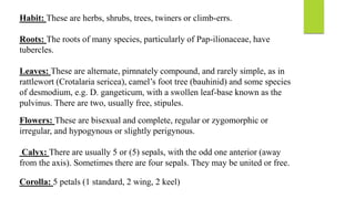 Habit: These are herbs, shrubs, trees, twiners or climb-errs.
Roots: The roots of many species, particularly of Pap-ilionaceae, have
tubercles.
Leaves: These are alternate, pirnnately compound, and rarely simple, as in
rattlewort (Crotalaria sericea), camel’s foot tree (bauhinid) and some species
of desmodium, e.g. D. gangeticum, with a swollen leaf-base known as the
pulvinus. There are two, usually free, stipules.
Flowers: These are bisexual and complete, regular or zygomorphic or
irregular, and hypogynous or slightly perigynous.
Calyx: There are usually 5 or (5) sepals, with the odd one anterior (away
from the axis). Sometimes there are four sepals. They may be united or free.
Corolla: 5 petals (1 standard, 2 wing, 2 keel)
 
