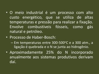 • O meio industrial é um processo com alto
custo energético, que se utiliza de altas
temperaturas e pressão para realizar a fixação.
Envolve combustíveis fósseis, como gás
natural e petróleo.
• Processo de Haber-Bosch:
– Em temperaturas entre 300-500oC e a 300 atm., a
ligação é quebrada e o N se junta ao hidrogênio.
• Aproximadamente 25% do N incorporado
anualmente aos sistemas produtivos derivam
daí.
 