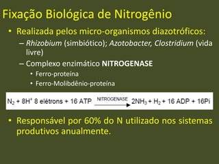 Fixação Biológica de Nitrogênio
• Realizada pelos micro-organismos diazotróficos:
– Rhizobium (simbiótico); Azotobacter, Clostridium (vida
livre)
– Complexo enzimático NITROGENASE
• Ferro-proteína
• Ferro-Molibdênio-proteína
• Responsável por 60% do N utilizado nos sistemas
produtivos anualmente.
 