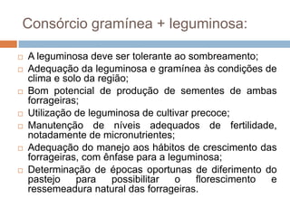 Consórcio gramínea + leguminosa:
 A leguminosa deve ser tolerante ao sombreamento;
 Adequação da leguminosa e gramínea às condições de
clima e solo da região;
 Bom potencial de produção de sementes de ambas
forrageiras;
 Utilização de leguminosa de cultivar precoce;
 Manutenção de níveis adequados de fertilidade,
notadamente de micronutrientes;
 Adequação do manejo aos hábitos de crescimento das
forrageiras, com ênfase para a leguminosa;
 Determinação de épocas oportunas de diferimento do
pastejo para possibilitar o florescimento e
ressemeadura natural das forrageiras.
 