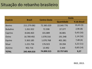 Espécie Brasil Centro-Oeste
Goiás
Quantidade % do Brasil
Bovino 211.279.082 72.385.029 22.045 776 10,43 (3)
Bubalino 1.261.922 72.598 37.377 2,96 (8)
Caprino 8.646.463 101.889 36.881 0,43 (16)
Ovino 16.789.492 1.078.316 191.348 1,14 (16)
Equino 5.363.185 1.070.768 401.381 7,48 (4)
Muar 1.221.756 176.923 39.394 3,22 (11)
Asinino 902.716 13.992 5.444 0,60 (14)
TOTAL 245.464.616 74.899.515 22.757.601 9,27
Situação do rebanho brasileiro
IBGE, 2013.
 