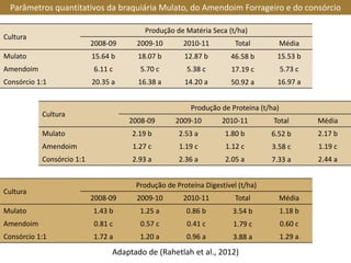 Cultura
Produção de Matéria Seca (t/ha)
2008-09 2009-10 2010-11 Total Média
Mulato 15.64 b 18.07 b 12.87 b 46.58 b 15.53 b
Amendoim 6.11 c 5.70 c 5.38 c 17.19 c 5.73 c
Consórcio 1:1 20.35 a 16.38 a 14.20 a 50.92 a 16.97 a
Cultura
Produção de Proteína (t/ha)
2008-09 2009-10 2010-11 Total Média
Mulato 2.19 b 2.53 a 1.80 b 6.52 b 2.17 b
Amendoim 1.27 c 1.19 c 1.12 c 3.58 c 1.19 c
Consórcio 1:1 2.93 a 2.36 a 2.05 a 7.33 a 2.44 a
Cultura
Produção de Proteína Digestível (t/ha)
2008-09 2009-10 2010-11 Total Média
Mulato 1.43 b 1.25 a 0.86 b 3.54 b 1.18 b
Amendoim 0.81 c 0.57 c 0.41 c 1.79 c 0.60 c
Consórcio 1:1 1.72 a 1.20 a 0.96 a 3.88 a 1.29 a
Parâmetros quantitativos da braquiária Mulato, do Amendoim Forrageiro e do consórcio
Adaptado de (Rahetlah et al., 2012)
 