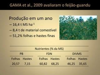 GAMA et al., 2009 avaliaram o feijão-guandu
Produção em um ano
– 16,4 t MS ha-1
– 8,4 t de material comestível
– 51,2% folhas e hastes finas
Nutrientes (% da MS)
PB FDN DIVMS
Folhas Hastes Folhas Hastes Folhas Hastes
20,57 7,15 60,82 68,25 46,25 35,65
 