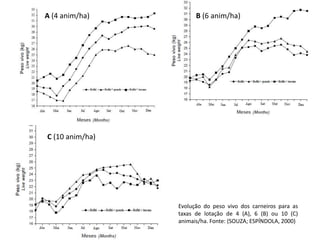 A (4 anim/ha)
C (10 anim/ha)
B (6 anim/ha)
Evolução do peso vivo dos carneiros para as
taxas de lotação de 4 (A), 6 (B) ou 10 (C)
animais/ha. Fonte: (SOUZA; ESPÍNDOLA, 2000)
 