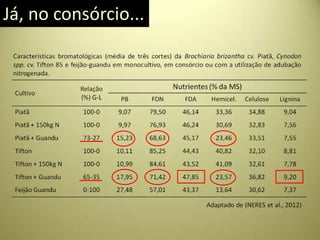 Já, no consórcio...
 