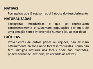 NATIVAS
Forrageiras que já estavam aqui à época do descobrimento
NATURALIZADAS
Forrageiras introduzidas e que se reproduzem
consistentemente e sustentam populações por mais de
uma geração sem a intervenção humana (ou apesar dela)
EXÓTICAS
Provenientes de outros países ou regiões, não existiam
naturalmente na zona onde foram introduzidas. Como não
têm inimigos naturais nos locais onde são plantadas,
podem tornar-se invasoras, deslocando as nativas
 