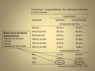 Baixos teores de fatores
antinutricionais
-inibidores de protease
-lecitinas
-taninos
-inibidores de alfa-amilase
 