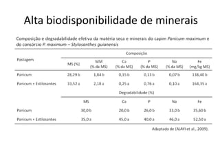Alta biodisponibilidade de minerais
 